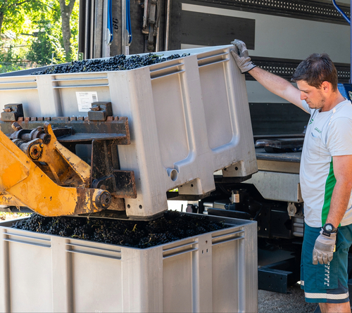 Von den Weinbergen in die Flasche