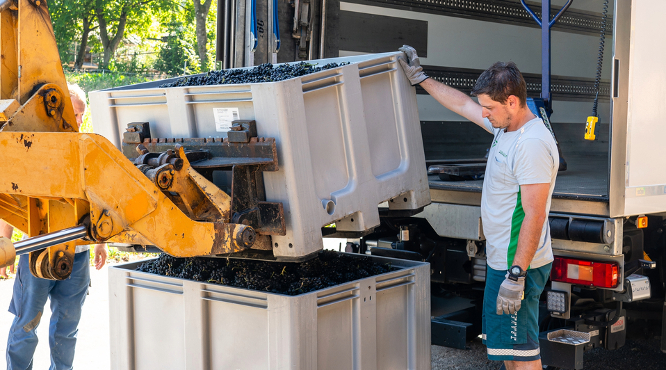 Von den Weinbergen in die Flasche