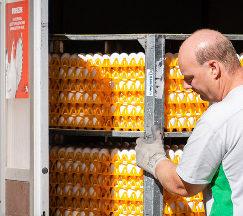 Transport von Ostereier