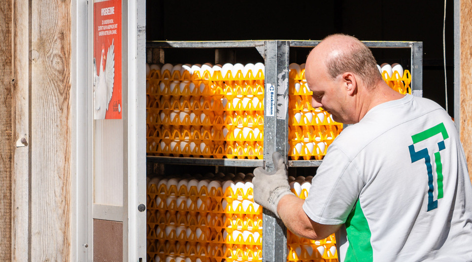 Transport von Ostereier